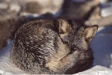 《Bomb Rush Cyberfunk》新实机演示 2022年登陆NS和Steam